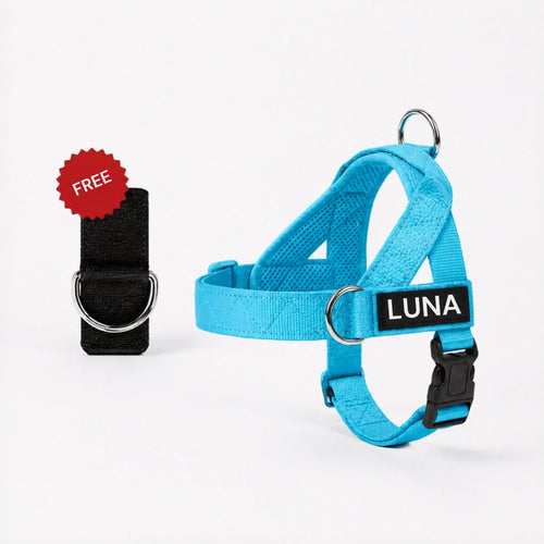 Brindle No-Pull Dog Harness with Front Redirect Ring™