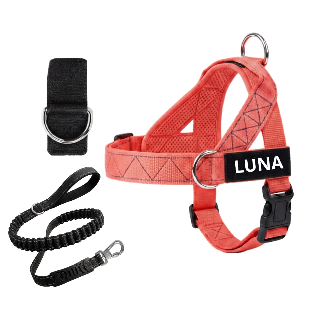 Brindle No-Pull Dog Harness with Front Redirect Ring™