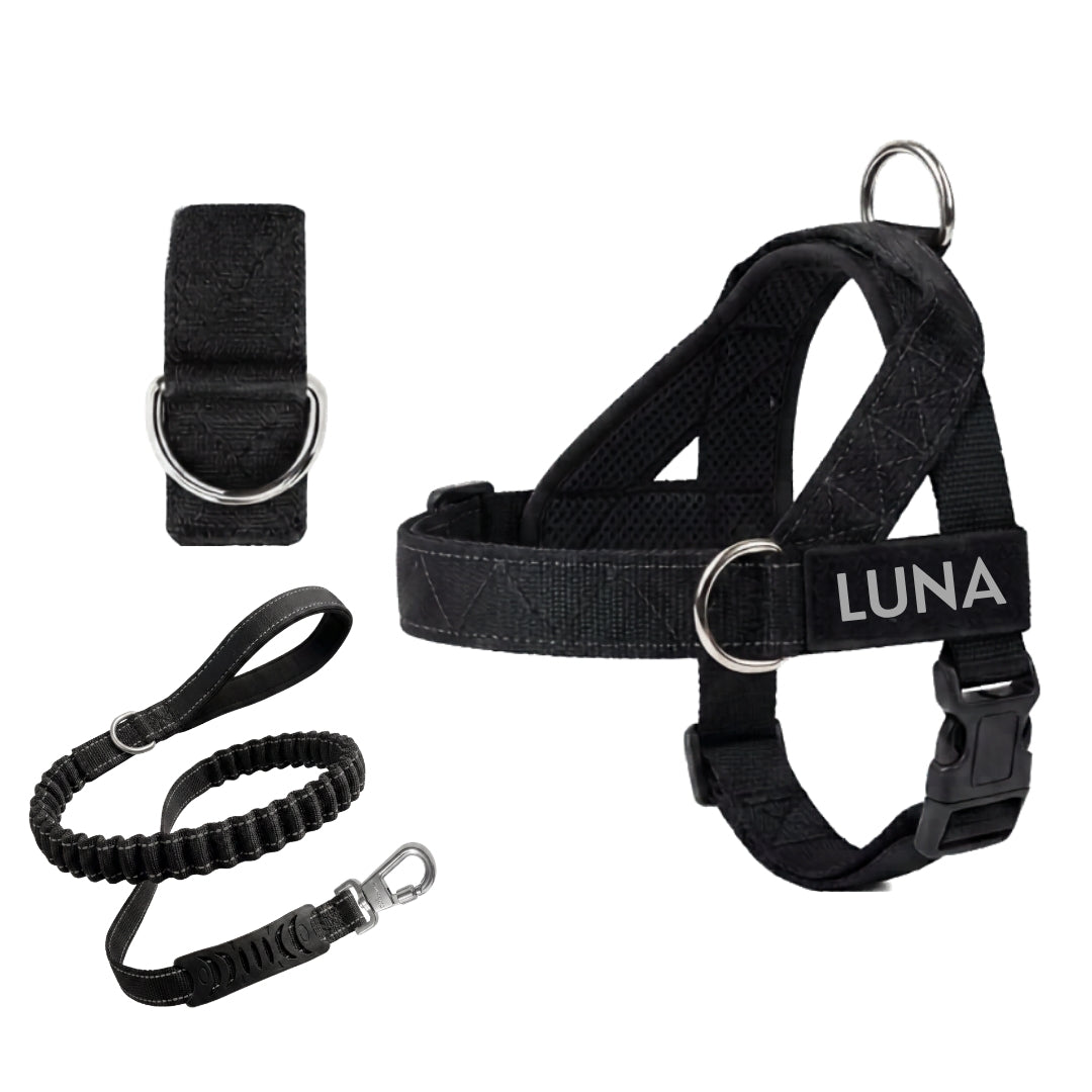 Brindle No-Pull Dog Harness with Front Redirect Ring™