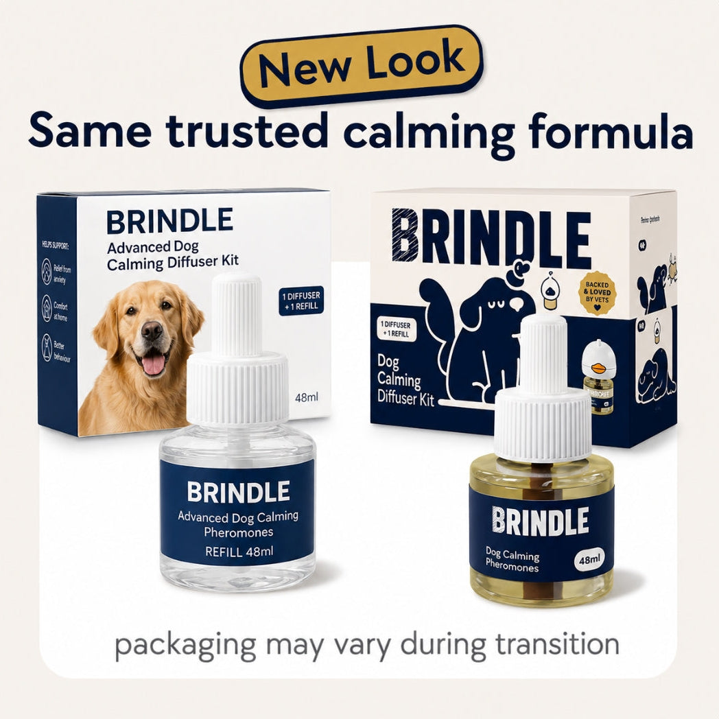 Brindle Calm — Dog Calming Diffuser Kit